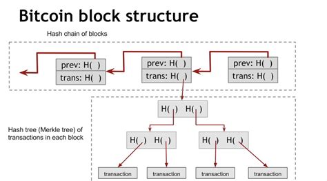 What is a Merkle Tree? Hashing and How Blockchain Verification Works