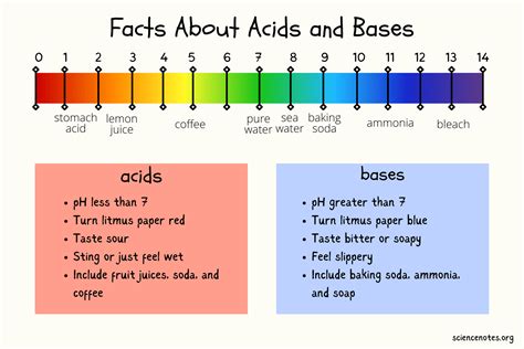 Facts About Acids and Bases