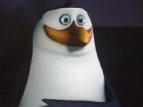 Rico - Penguins of Madagascar Photo (30692382) - Fanpop