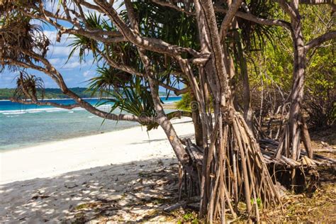 East Timor White Sand Beaches Stock Image - Image of religion, fatucama ...