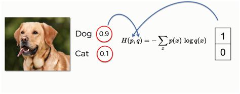 Convolutional Neural Networks (CNN): Softmax & Cross-Entropy - Blogs ...