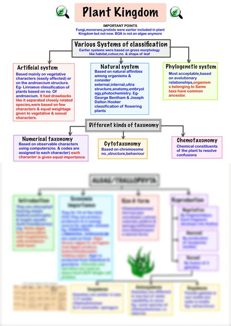 SOLUTION: Plant Kingdom - Mind Map - Studypool