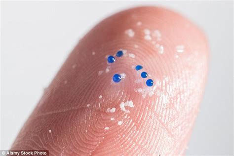 Microbead toxins could permeate human tissue say experts | Daily Mail ...