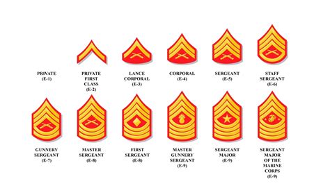 Usmc Enlisted Rank Structure | Images and Photos finder