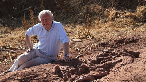 Why David Attenborough thinks evolution is "one of the great dramas in ...