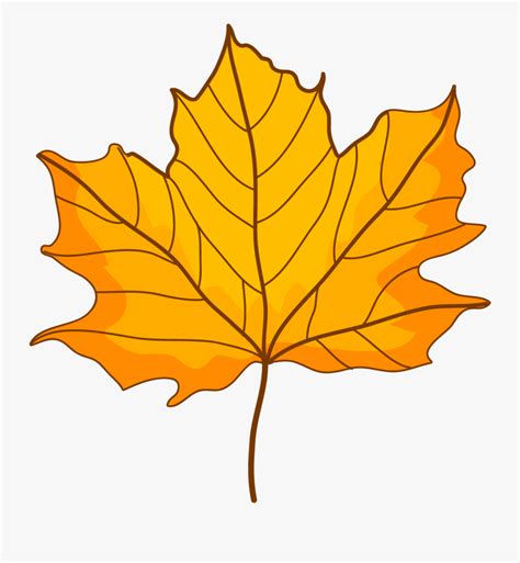 Fall Autumn Leaves Cartoon Png , Free Transparent Clipart - ClipartKey