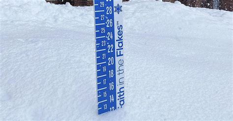 Who has the most? Snow totals for March 14, 2023 - CBS Boston