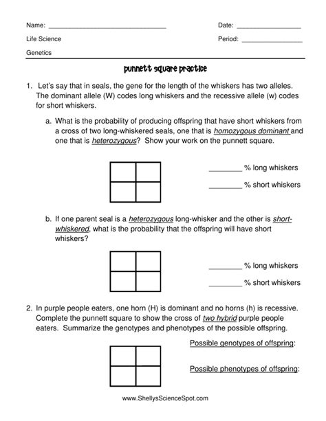 Punnett Square practice