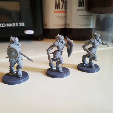 Imagine Minis - 3D Printable DnD Minis | 3D Printing Samurai