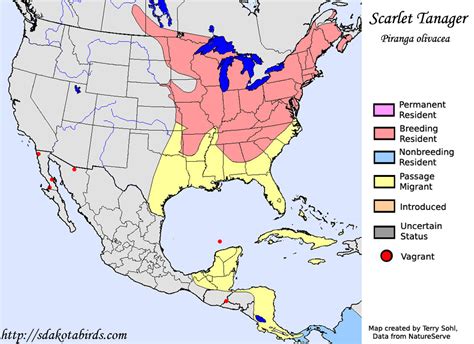 Scarlet Tanager - Species Range Map