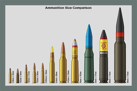 Caliber Bullet Size Chart Explore Bullet Caliber Comparison