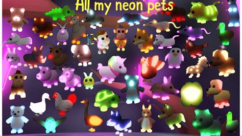 Adopt me neon pet ages in order