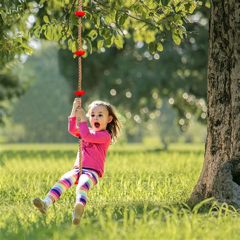 Climbing Rope Swing with Disc Swing Seat Set Rope Ladder for Kids ...