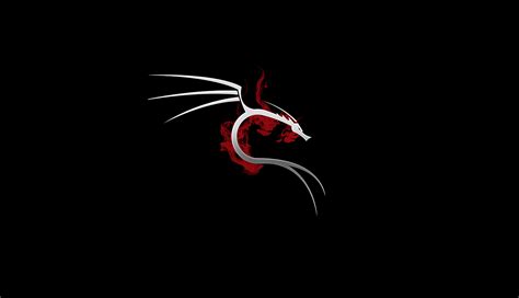 1336x768 Kali Linux 4k Laptop HD ,HD 4k Wallpapers,Images,Backgrounds ...