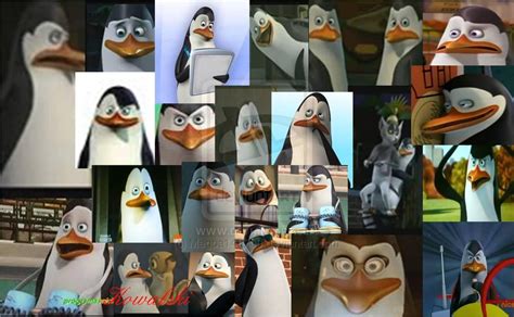 kowalski - Penguins of Madagascar Photo (28608536) - Fanpop