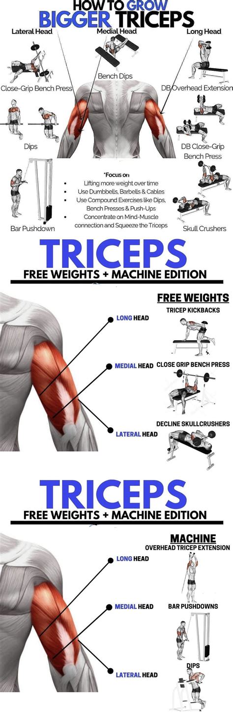 How To Grow Bigger Triceps : r/howto