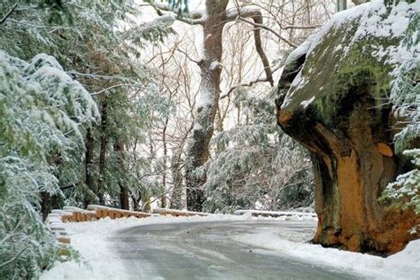 23.............Snow in West Va usa | West virginia mountains, Almost ...