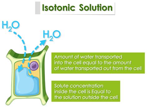 Diagram showing isotonic solution 1235756 Vector Art at Vecteezy