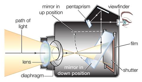 [DIAGRAM] Parts Of A Camera Diagram For Kids - MYDIAGRAM.ONLINE