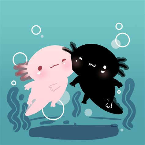 Axolotl Axolotl Animal Drawings Cute Animal Drawings | Porn Sex Picture