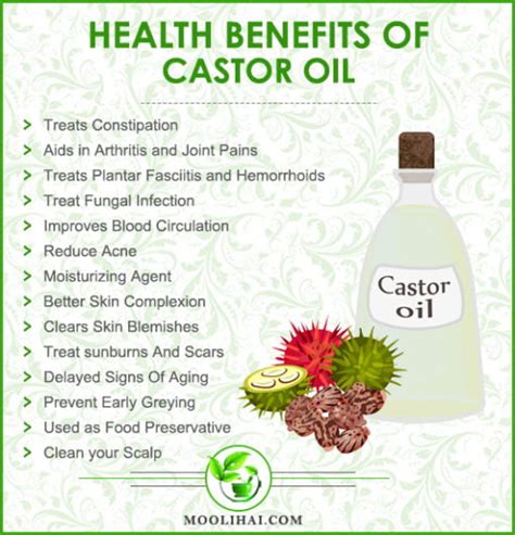 Unbelievable Health Benefits Of Castor Oil - Moolihai.com