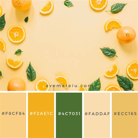 Orange Palette, Orange Color Palettes, Pantone Colour Palettes, Color ...