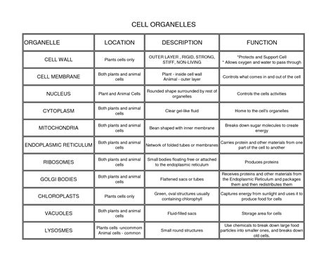 What is the main function of cell organelles?