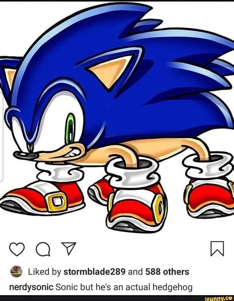 Tª' Liked by stormblade289 and 588 others nerdysonic Sonic but he's an ...