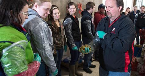 Steve Kelm shows students feed from stomach of fistulated cow