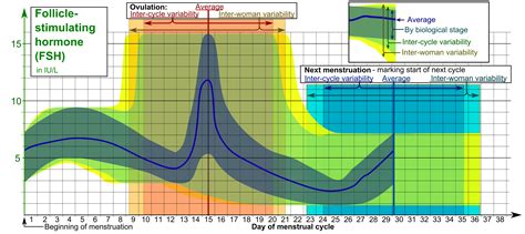 Basal Body Temperature Charting | Sussex Acupuncture