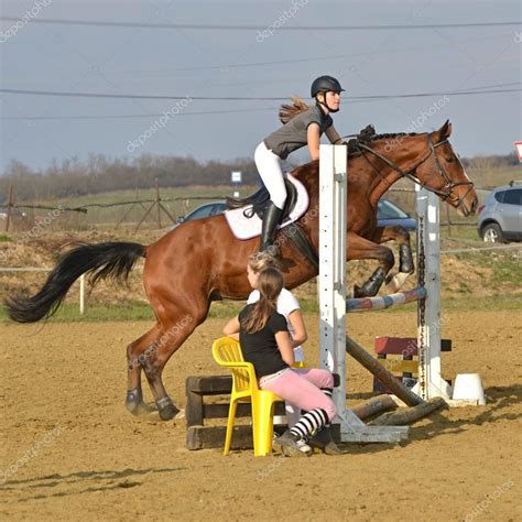 Horse at jumping competition Stock Photo by ©muro 34740263