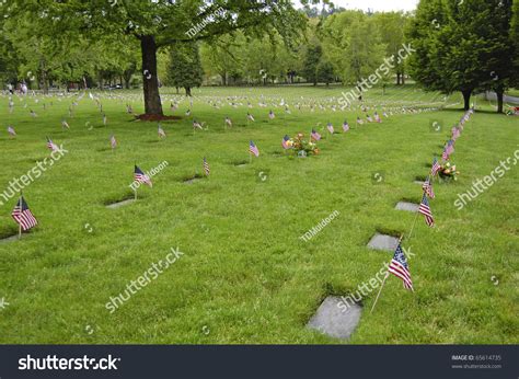 Flags Decorate Veterans Graves At Willamette National Cemetery On ...