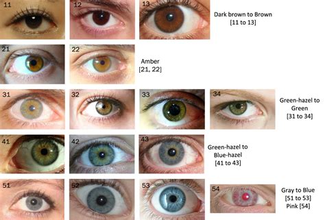 eye color chart eye color chart eye color writing tips - eye colour ...