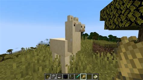 How to Ride a Llama in Minecraft | DiamondLobby