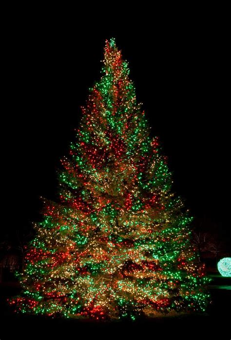 Best Christmas Tree Light Ideas To Make Your Home Shine | Cool ...