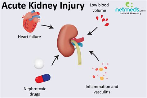 Renal Failure