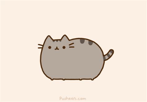 pusheen gifs | WiffleGif