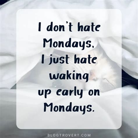 126 Funny Monday Quotes To Boost Your Mood Through The Week