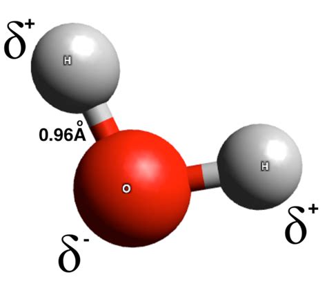 Physical & Chemical Properties of Water | ChemTalk