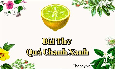 Bài Thơ Quả Chanh Xanh [Nội Dung + Ý Nghĩa + Giáo Án]