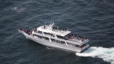 Our Boat - Hyannis Whale Watcher