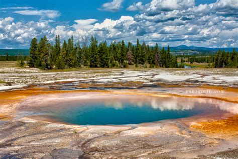 grand canyon of yellowstone :: Anna Gorin Photography, Boise, Idaho