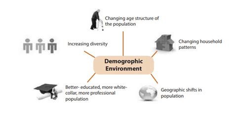 Macro Environment - Demographic Environment: Examples, Videos, etc.