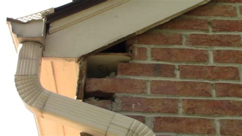 Wood Rot Fascia Board Repair in Cincinnati, OH [Video]