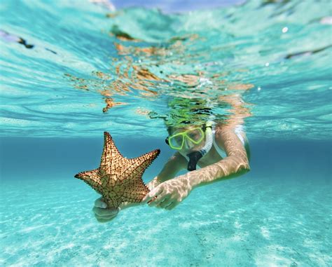 Why Travelers Should Try Snorkeling In Cancun - Cancun Sun