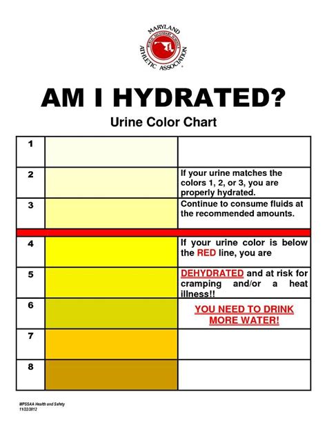 Printable Urine Hydration Chart