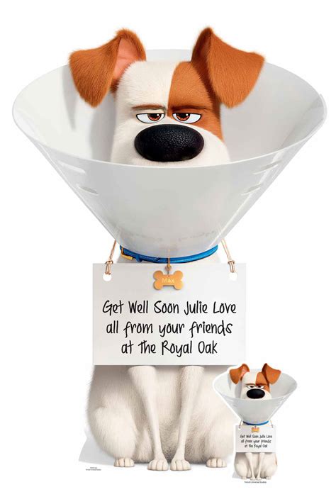 Max from The Secret Life Of Pets 2 - Personalised Cardboard Cutout ...