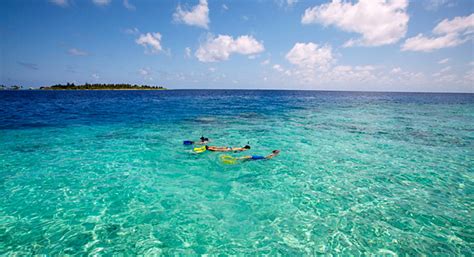 Best Snorkeling Resorts in the Maldives | TropixTraveler