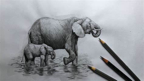 17 Easy Sketch how to draw a realistic elephant step by step for Pencil ...