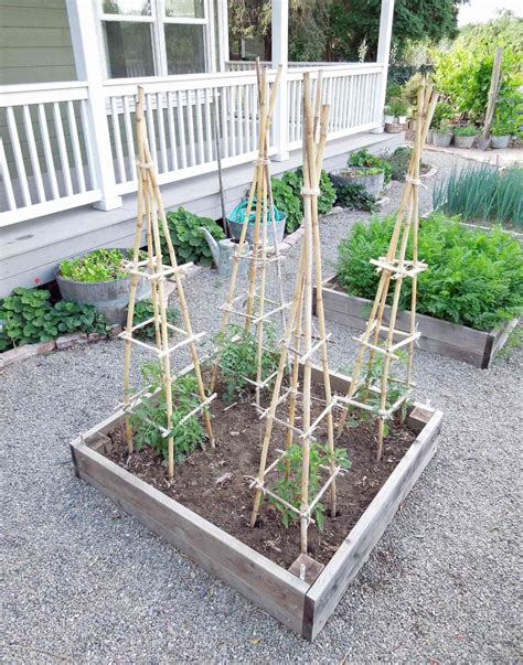 11 DIY Plant Cages and Supports